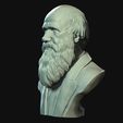 13.jpg Charles Darwin portrait sculpture 3D print model
