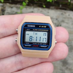 IMG20221115154350.jpg Casio F91W Watch Case, high precision model