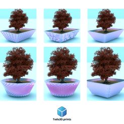 183.jpg bonsain pots complete collection (1-2-3-4-5-6)