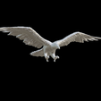 Capture-d’écran-2023-07-06-à-13.49.35.png crow raven