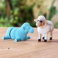 01.jpg SHEEP, FLEXI, ARTICULATED