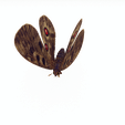 PNNL.png DOWNLOAD BUTTERFLY 3D MODEL - ANIMATED INSECT - MAYA - BLENDER 3 - 3DS MAX - UNITY - UNREAL - CINEMA 4D -  3D PRINTING - OBJ - FBX - BLENDER - 3DS MAX - MAYA - C4D - UNITY - UNREAL -  3D PROJECT CREATE AND GAME READY BUTTERFLY INSECT POKÉMON