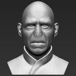 1.jpg Fichier STL Buste de Lord Voldemort impression 3D prête stl obj・Modèle à imprimer en 3D à télécharger