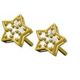 04.jpg Star Stud Earring