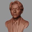 13.jpg Gong Yoo portrait model 3D print model
