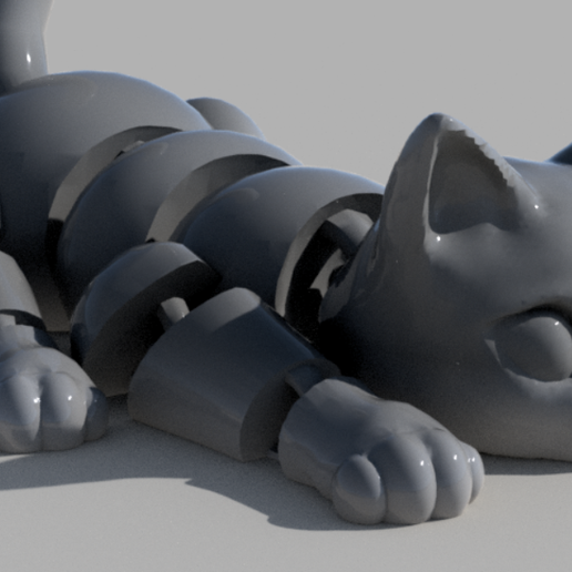 1.png beautiful flexible kitten