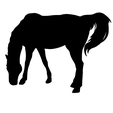 IMG-3649.png Horse silhouette