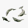 WHITE_RENDER.jpg four whales in different positions. toy