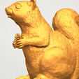 A11.png Squirrel 01