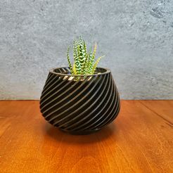 Black-Front.jpg Single Twist Geometric Desktop/Indoor Succulent Planter