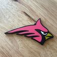 IMG_2178.jpg Cardinal Logo MultiColor