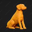 2743-Brittany_Pose_04.jpg Brittany Dog 3D Print Model Pose 04
