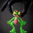 4-min.jpg Dissected Frog - Fridge magnet