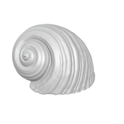 conchiglia.png Archivo STL Concha - caracola - caracol - mar・Plan imprimible en 3D para descargar