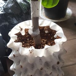 a.jpg root trainer pot: air pruning