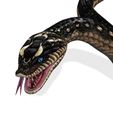 00O.jpg DOWNLOAD VIPER 3D MODEL - DINOSAUR - MYTHOLOGICAL - FIHS - PYTHON - reptile - snake - ANIMATED - FOR 3DS MAX - BLENDER 3 FILE - UNITY - UNREAL - CINEMA 4D - FBX - OBJ - MAYA