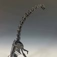 received_354940880482645.jpeg Brachiosaurus  Skeleton