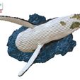 Humpback-Whale-Head-off-the-Water-color-9.jpg Humpback Whale Head off the Water 3D printable model