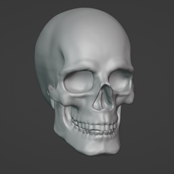 Annotation-2023-11-06-011931.png Skull