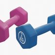 1.jpg Dumbbells 3D Model