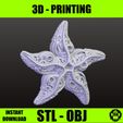 IMG_8912.jpeg SEA STAR 7 - Starfish digital STL and OBJ file for sea animal 3D printing