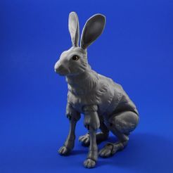 hare_square_1.jpg Descargar archivo STL gratis The Fabled Hare (Una muñeca de articulación de bolas impresa en 3D) • Plan imprimible en 3D, loubie