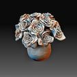 Rose flowers 2.jpg Flores de rosas