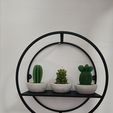 IMG20240612182225.jpg Decorative Circular Wall Shelf