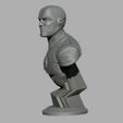 2.jpg bust flash