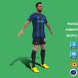 z2.jpg 3D Rigged Francesco Acerbi Inter Milan 2023