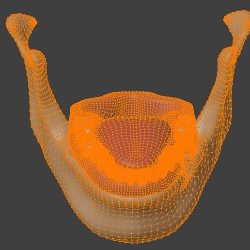 3D Dental Model of Teeth - Cross Section・ STL File for 3D printing・Cults