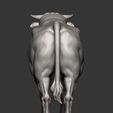 Bull11.jpg Bull 3D print model
