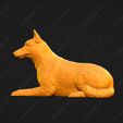 1714-Belgian_Shepherd_Dog_Malinois_Pose_08.jpg Belgian Shepherd Dog Malinois Dog 3D Print Model Pose 08