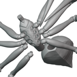 spider-8.png Ranchnera SFW