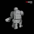 Z20.jpg Alpha troops  - Squad of the Imperial Force
