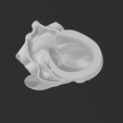 imagen_2023-07-29_173706970.png Magnetic anatomical human heart