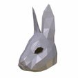 Rabbit_mask_10_wireframe.jpg Rabbit mask