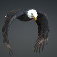 09.jpg Eagle Eagle - DOWNLOAD Eagle 3d Model - Animated for Blender-Fbx-Unity-Maya-Unreal-C4d-3ds Max - 3D Printing Eagle Eagle BIRD - DINOSAUR - POKÉMON - PREDATOR - SKY - MONSTER