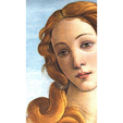 naissance-de-Venus_Botticelli_2.png The Venus of Botticelli