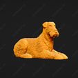 216-Airedale_Terrier_Pose_09.jpg Airedale Terrier Dog 3D Print Model Pose 09