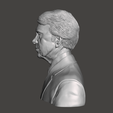 Jimmy-Carter-3.png 3D Model of Jimmy Carter - High-Quality STL File for 3D Printing (PERSONAL USE)