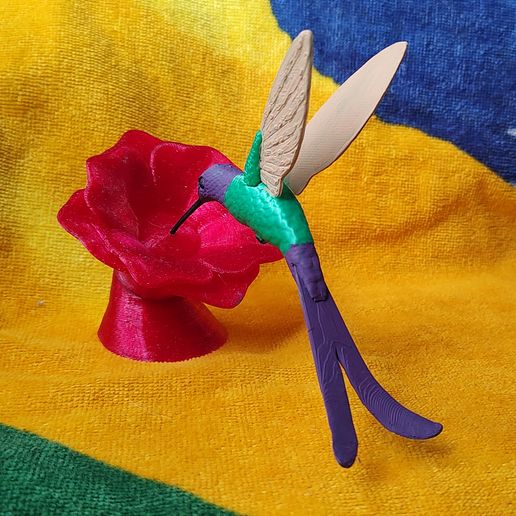 IMG_20240701_150347785.jpg Kolibri