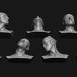 neck-anatomy-reference-set-3d-model-f5a210a3f2.jpg Neck Anatomy Reference Set