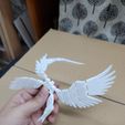 20240609_180705.jpg Articulated wings for DUMMY 13 (Fully flexible, module designs)