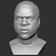 2.jpg Ice Cube bust 3D printing ready stl obj formats