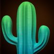 WhatsApp-Image-2022-01-04-at-01.34.58-1.jpeg Cactus