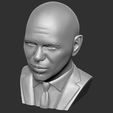 14.jpg Pitbull bust 3D printing ready stl obj formats