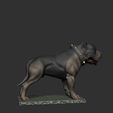 ZBrush Documentчв.jpg staffordshire terrier