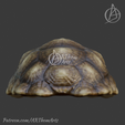 Untitled19_20250617150734.png Tortoise Shell Hide