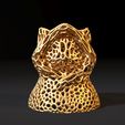 10007.jpg Cat hooded Voronoi